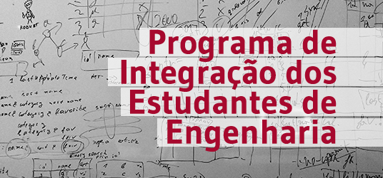 eesc prg programa integracao estudantes engenharia