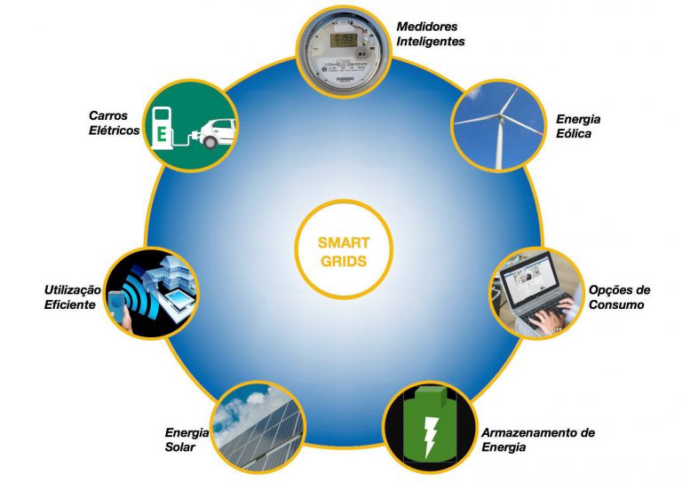 eesc smart grids 1