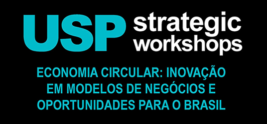 strategic workshop economia circular